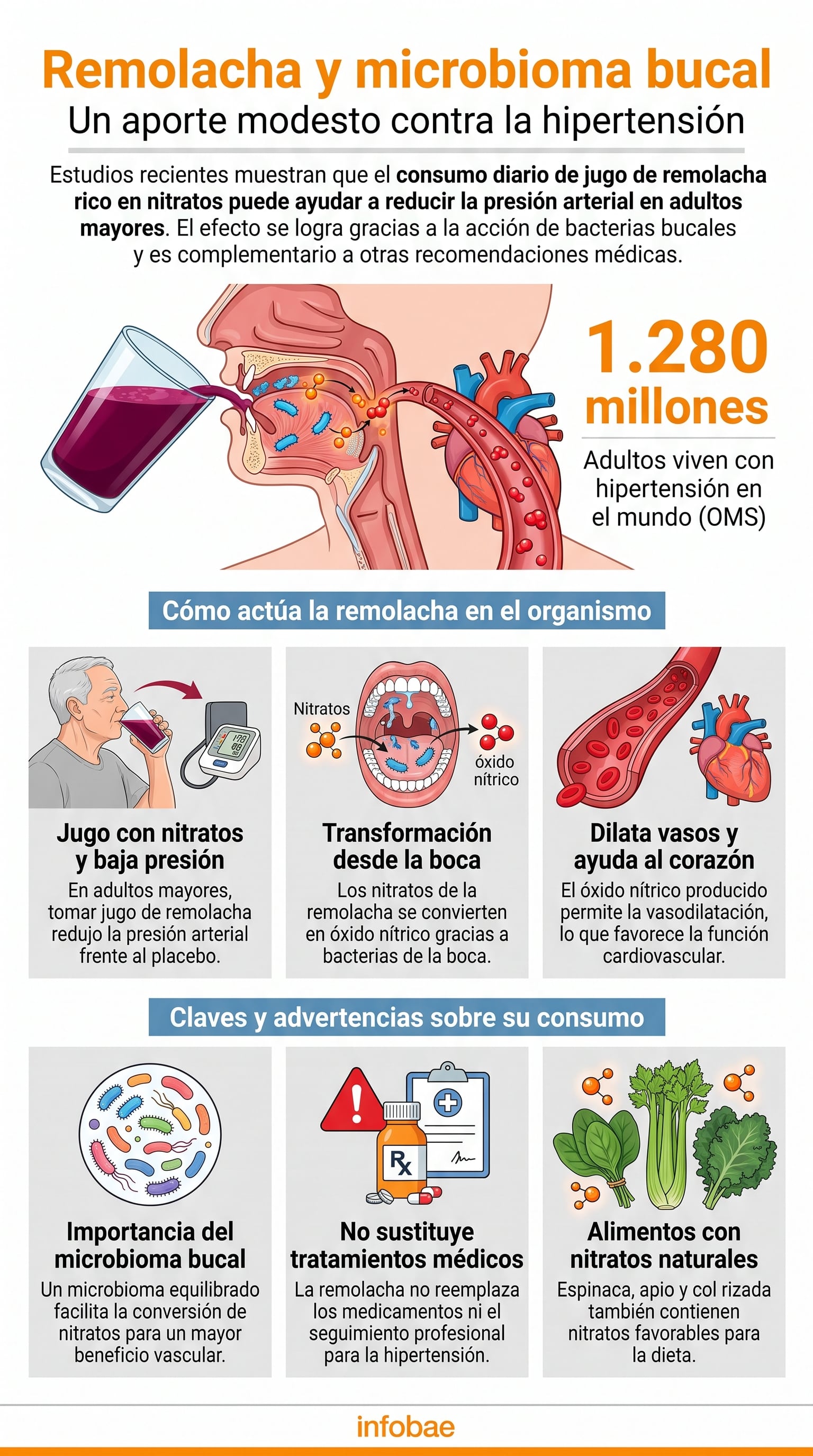 Las bacterias de la boca participan en la transformación de nitratos en compuestos beneficiosos para la circulación. (Imagen Ilustrativa Infobae)