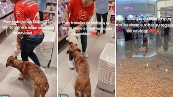 La escena ocurrió en un