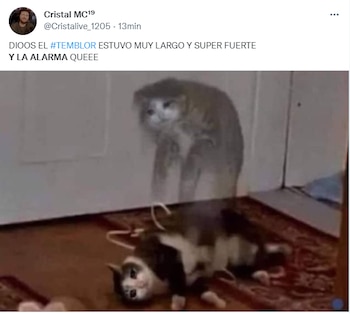 Memes del sismo que se