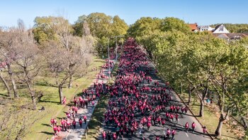 Inhouse - Fundación Avon
