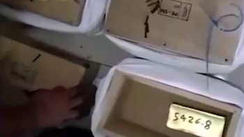 Caso ouro: Ministério de Estado contrata especialista para investigação de irregularidades. (Foto: Captura de Vídeo/Canal N)