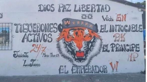 Los Tiguerones tienen sus inicios en Ecuador. En los lugares donde logran asentarse con su abanico de delitos pintan paredes con su marca y frases para espantar a otras bandas