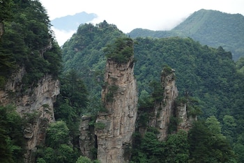 Cada 21 de marzo, el