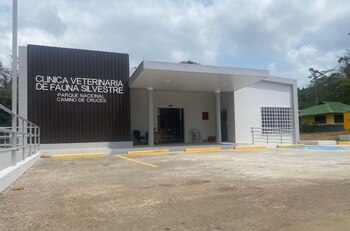 Recomiendan actualizar los protocolos de atención médica y reforzar auditorías internas en la Clínica Veterinaria de Fauna Silvestre. (MiAmbiente)