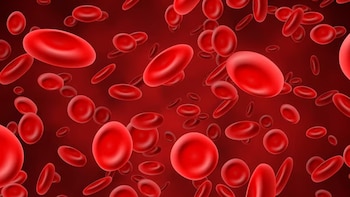 Un análisis de sangre permite