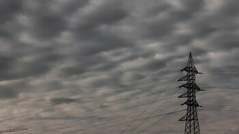 Investigadores japoneses constatan la presencia