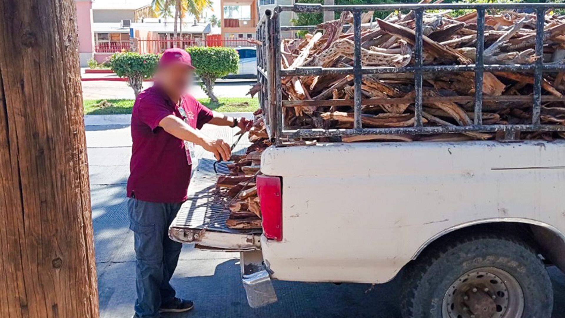 Profepa asegura transporte ilegal de madera desde la zona crítica forestal, en Loreto, Baja California