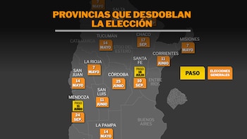 Elecciones 2023: cuáles son los