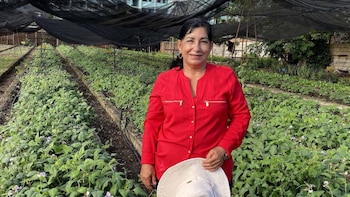 De la tierra urbana de Camagüey a las 100 heroínas de la FAO: Cubana destaca por su modelo agrícola