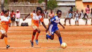 'The Rhino Cup' también tiene