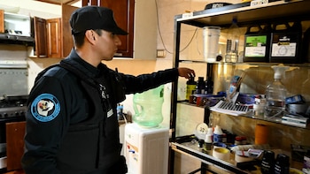Desmantelaron un laboratorio de marihuana que funcionaba en Nueva Pompeya