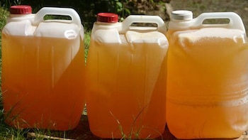 Los adultos generan unos 500