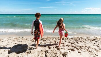 La Universidad de Miami implementará