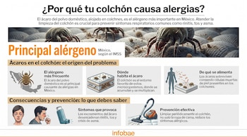 Infografía sobre ácaros del polvo como principal alérgeno. Muestra ácaros magnificados en un colchón, síntomas de alergia, un colchón seccionado con ácaros, y una aspiradora.