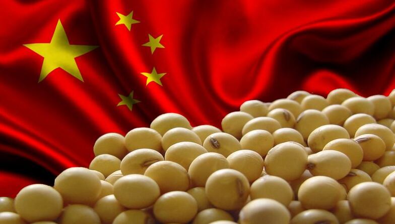 China podría reducir importaciones de soja