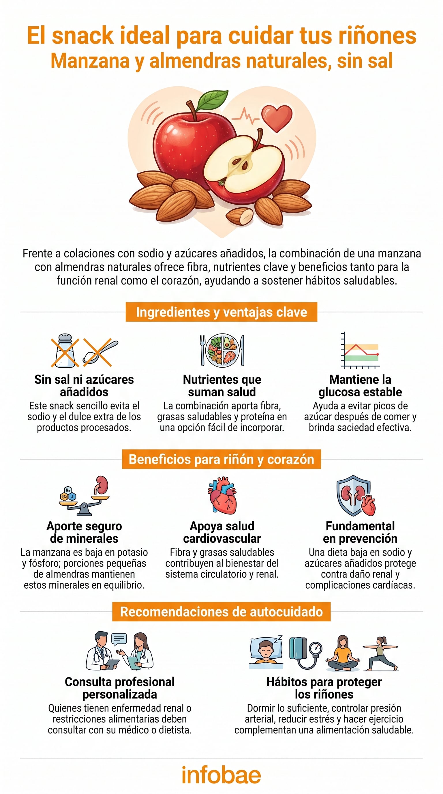 Los riñones filtran desechos y regulan líquidos durante todo el día. (Imagen Ilustrativa Infobae)
