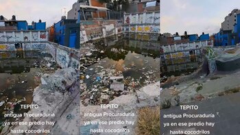Tepito: qué hay detrás de