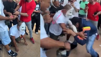 Primera pelea pública entre “therians”