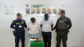 Dos personas intentaban traficar monos ocultos en sus partes íntimas: así fueron detenidos en pleno aeropuerto de Cartagena