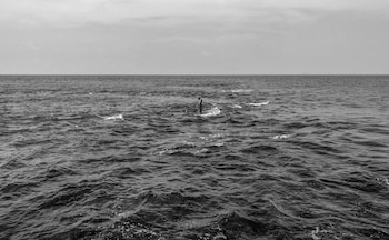 Un trabajo del fotógrafo César Rodríguez, que documenta el impacto del clima en comunidades costeras de Tabasco, ha sido distinguido entre más de 57 mil imágenes de 141 países por su enfoque en la transformación social causada por el entorno.