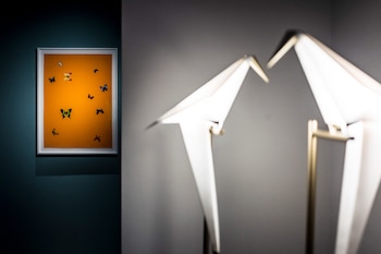 Además de ser uno de