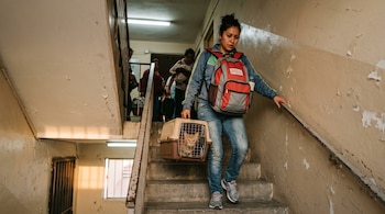 Una mujer baja las escaleras de un edificio llevando una mochila de emergencia y una transportadora con un gato en su interior.