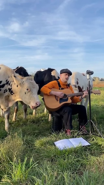 Los videos de Plumes comenzaron