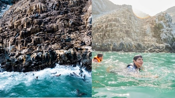 Las Loberas de Nuevo Chimbote: