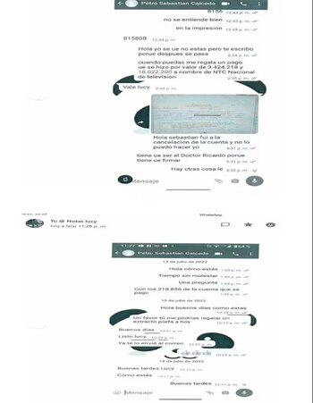 Los chats revelados por el CNE liberan de responsabilidad a la entonces tesorera de la campaña, porque los dineros serían manejados por terceros - crédito CNE
