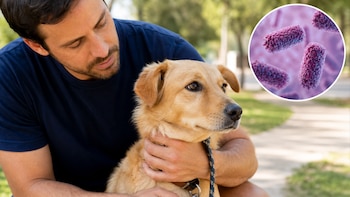 Emiten una advertencia a los dueños de mascotas ante nuevos casos de rabia: estas son las recomendaciones para proteger a los animales