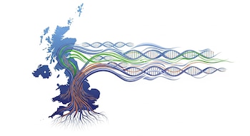 Infografía artística muestra un mapa azul de Gran Bretaña con raíces y ramas de árbol que se convierten en hebras de ADN y flujos migratorios en azul, verde y cobre.