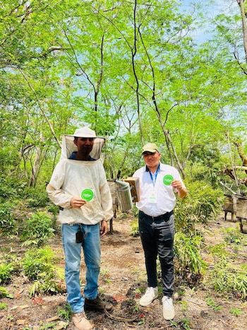 Los resultados preliminares del V