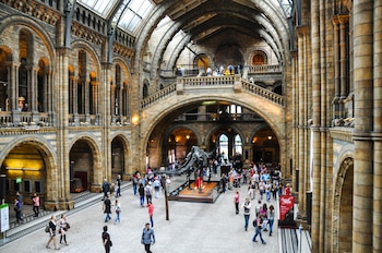 Carrión Mora fue investigador asociado del Museo de Historia Natural de Londres.