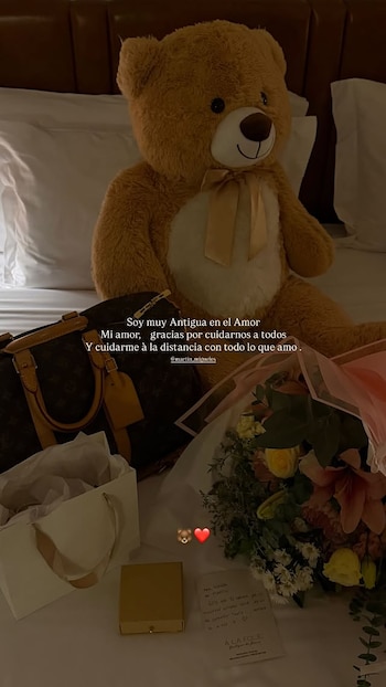 Un oso de peluche grande, un bolso Louis Vuitton, un ramo de flores, una caja de regalo y una bolsa blanca sobre una cama