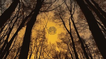 La luna muestra una parte