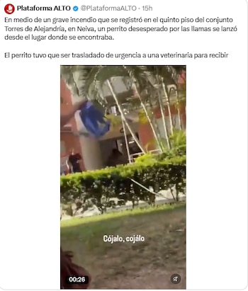 Incendio en Torres de Alejandría dejó un perro herido tras caer desde el quinto piso - crédito @PlataformaALTO/X