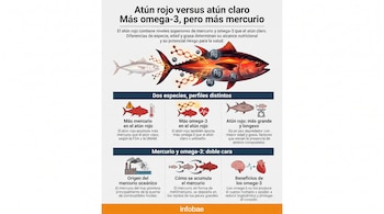 Infografía comparativa de atún rojo y atún claro con iconos de mercurio, omega-3, origen de mercurio, acumulación en peces y beneficios de omega-3.