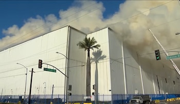 Un edificio industrial blanco emite una gran cantidad de humo, con una palmera alta en primer plano y la escalera de un camión de bomberos visible