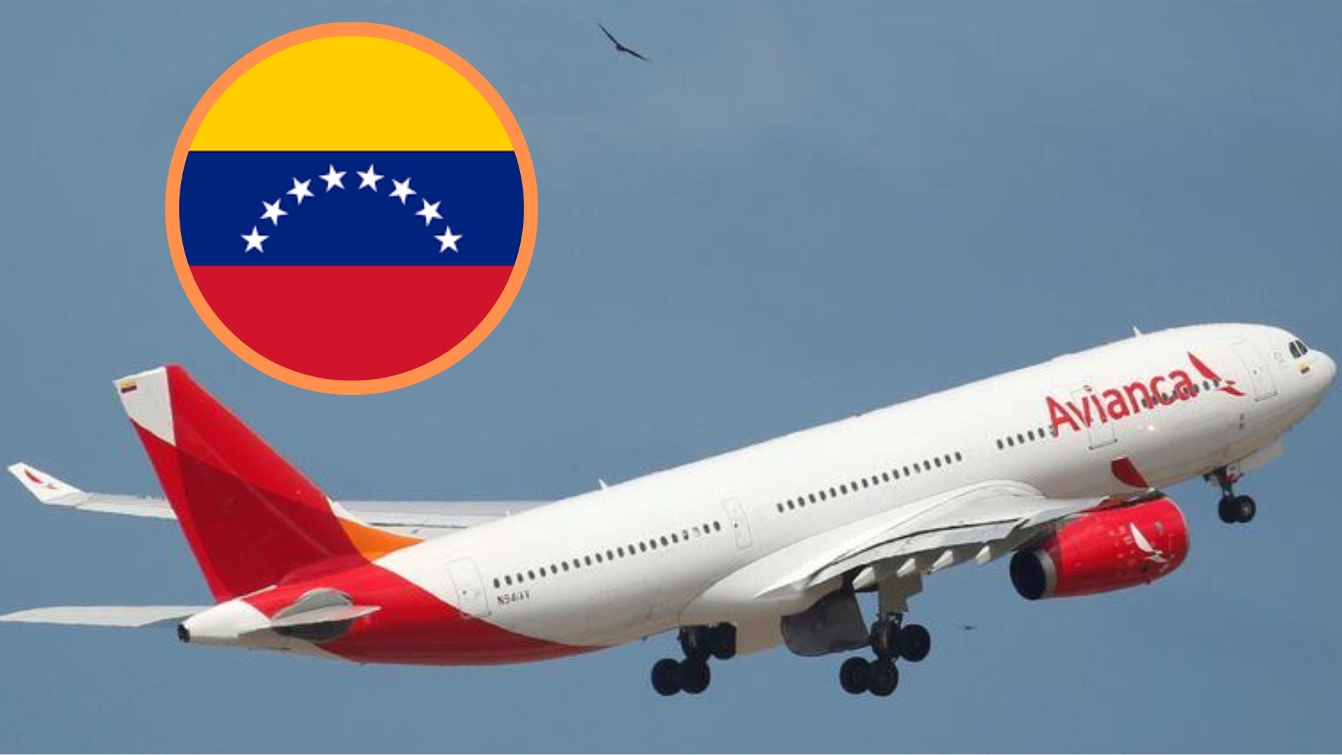 Avianca anunció que reanudará vuelos directos entre Bogotá y Caracas: esta es la fecha