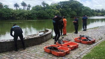 Se reanudó la búsqueda del