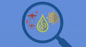 Lupa azul sobre fondo claro que encuadra dos mosquitos rojos, una gota verde con microorganismos y un icono de virus amarillo.