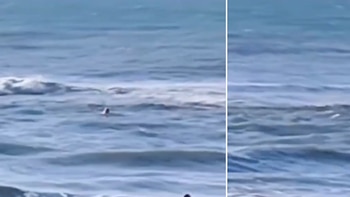 “Que aprenda”: denunciaron a un