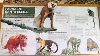 La reserva ecológica, un legado