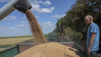 "En un contexto de aumento poblacional y mayor demanda de alimentos, las Américas tienen una responsabilidad estratégica: producir más y mejor, utilizando innovación y sostenibilidad", explicó Otero (Foto: AFP)