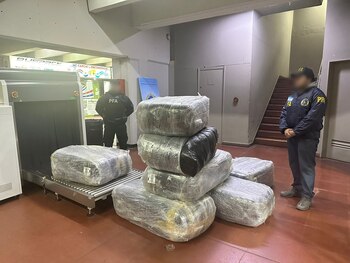 Los ocho paquetes secuestrados por