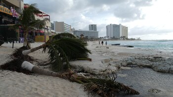 ¿Es necesaria la categoría 6