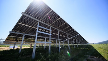 La revista Science eligió al