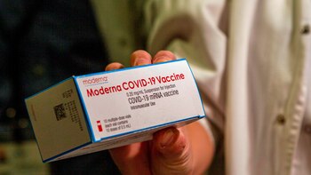 Hoy comenzará la distribución de