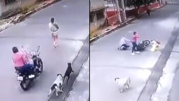 Un motociclista arrolló a una