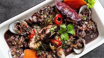 Plato blanco rectangular con ceviche oscuro, conchas, cebolla morada picada, rodajas de ají rojo, hojas de culantro, trozos de camote naranja y una cáscara oscura